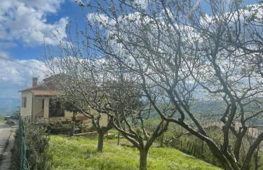 Casa Sibilla Agriturismo Le Castellare - Foto 14