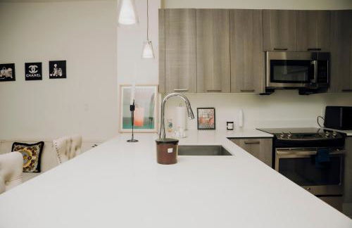 Modern 2 BR 2 BA near downtown Boston free parking - Foto 20