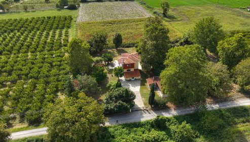 Nikola's Garden - Foto 2