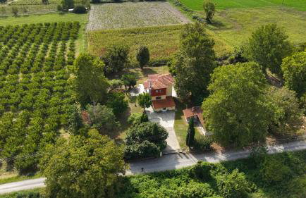 Nikola's Garden - Foto 2