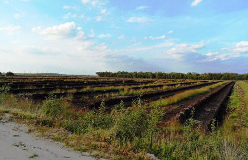 Ferienwohnung Uchte - Photo 56