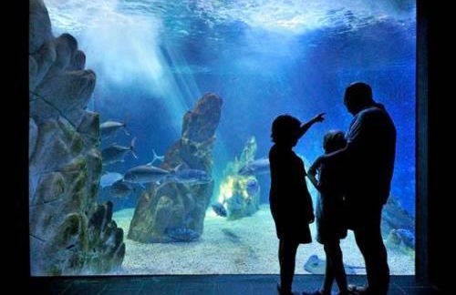 Apartment Stella Maris - Foto 29