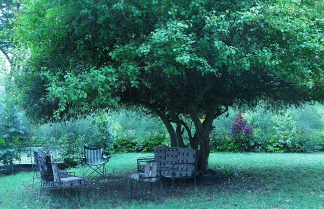 White Thorn Cottages - Foto 12