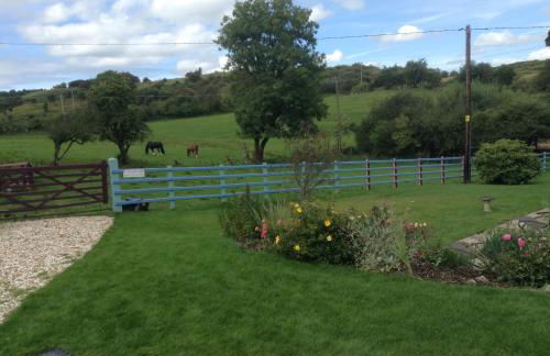 Glan Llyn Farm House - Foto 7