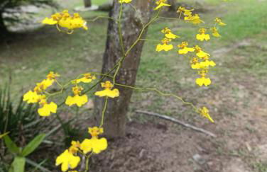 Refúgio Atlântico - Foto 58