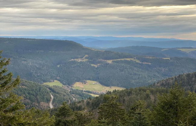 Ferienwohnung im Malerischen Kniebis - Foto 24