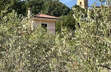 Pink House - Foto 24