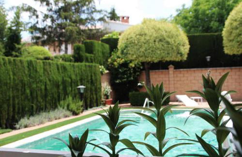 El jardín de la abuela - Foto 28