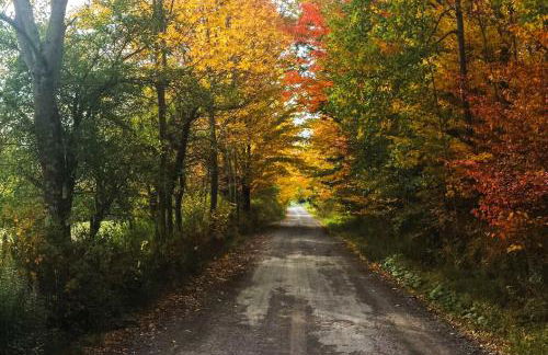 Private Dog-Friendly Home 3 Mi to Elk Mountain - Foto 42