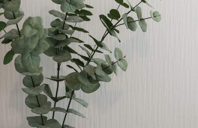 infinity AGENA - Foto 37