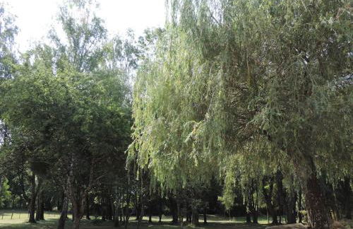 La Gatinelle - Foto 7