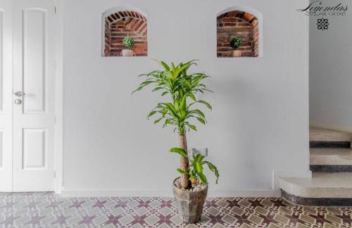 Casa Leyendas de Cáceres - en plena zona monumental - Foto 29