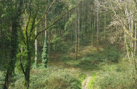 Sunflowers Barn - Foto 24