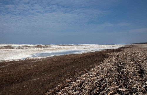 Piaskowa 13 - Apartamenty dla Podróżujących bez Dzieci - Foto 27