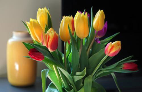 Modern One Bedroom Apartment in Cardiff Bay - Foto 13