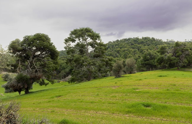 Aggelos Home in Kato Alepohori - Foto 4