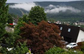 Ferienhaus Haus Herzog - Foto 38