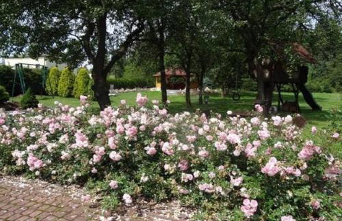 SKALNY apartamenty, pokoje - Foto 43