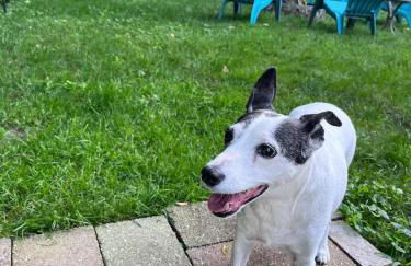 Relaxing Townhouse Downtown Dubuque - Foto 10