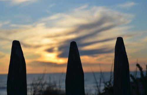 La villa dans les pins - Photo 30