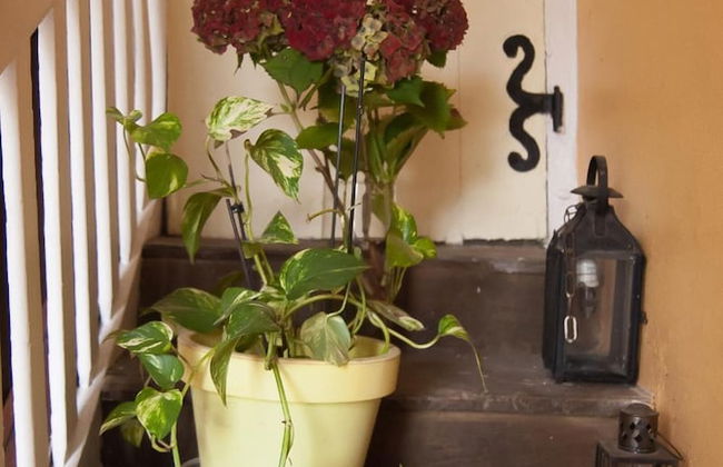 Gite des croix Bancaud - Foto 32