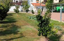 La tenuta di Eva - Foto 26