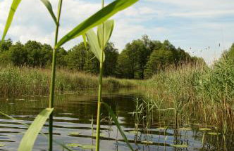 Rybaczówka Łuknajno - Foto 41