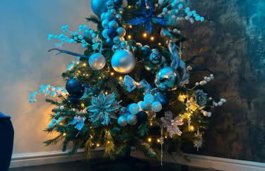 Minneymoor lodge - Foto 13