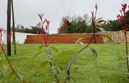 Casa de Alcaria - Foto 15