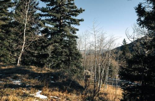 Modern A-Frame - Mountain Views - Evergreen - Foto 41