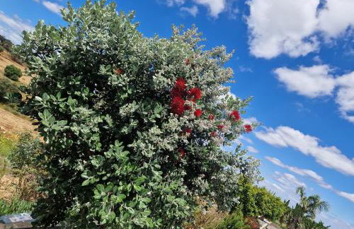Herdade Monte Gordo - Foto 8