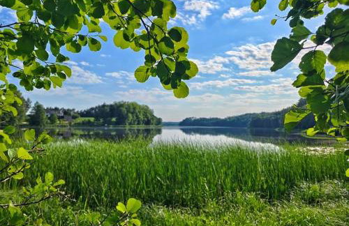 Domek w zaciszu - Foto 7