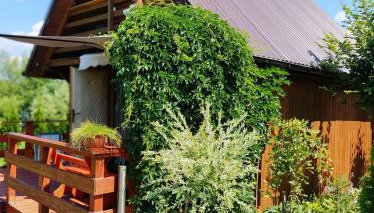 Domki w Bieszczadach - Foto 4