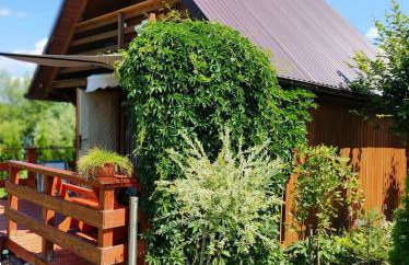 Domki w Bieszczadach - Foto 4