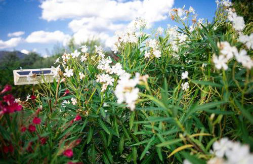 Casa dei Girasoli - Foto 68