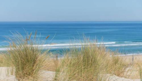 Appartement Villa Trencat - Foto 2