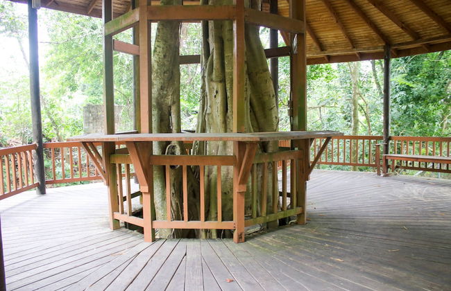 The Blue Mahoe Treehouse - Photo 14