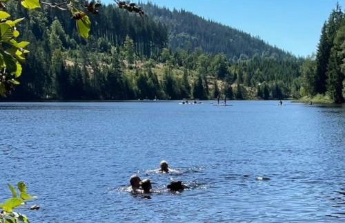 GreenHolidays - Foto 24