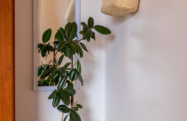 Terra Magica Deluxe Apartment OR Room with Private Parking, Terrace and Sea View - Foto 3