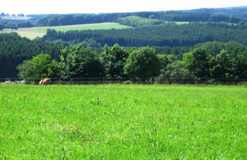 Ferienhaus in Liebenscheid nahe Fuchskaute - Foto 31