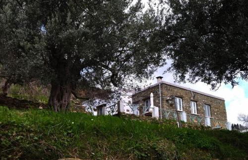 Andros Trecking Paradise Holiday Cottage by "elite" - Foto 28