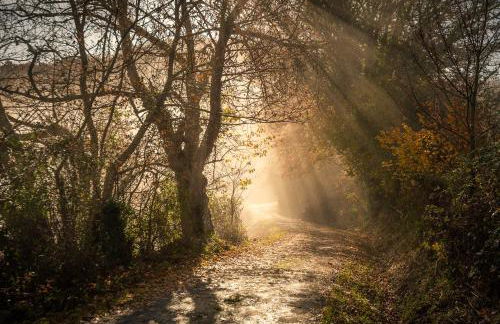 Ahío San Martín, Apartamentos Rurales Casa de la Villa - Foto 63