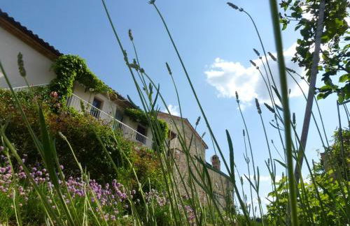 Casarciccia - Photo 23