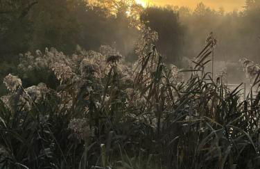 Bungalowdorf Lübben - Foto 15