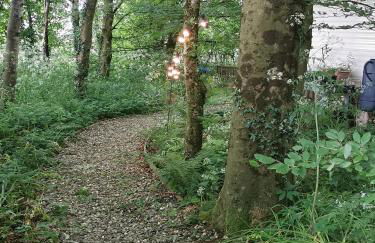 Doughery Den The Dark Hedges Hideaway - Foto 16