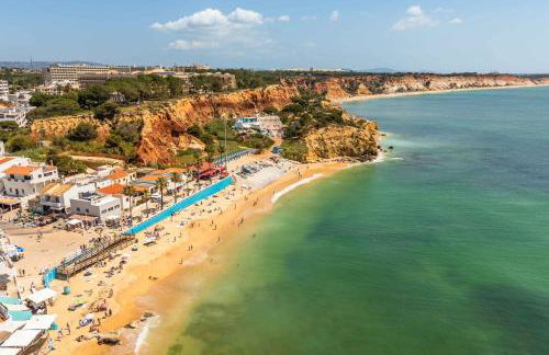 T2 Eucalipto 2A by Algarneto - Foto 26