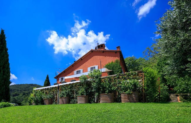 Verdidea - VILLA NAPOLEONE - Foto 45