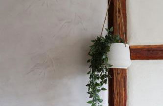 Lehm & Fachwerk 2-Zimmer-Apartment - Claycation - Foto 6