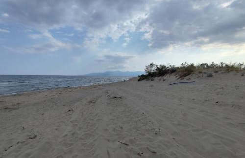 Lina's House - Photo 34