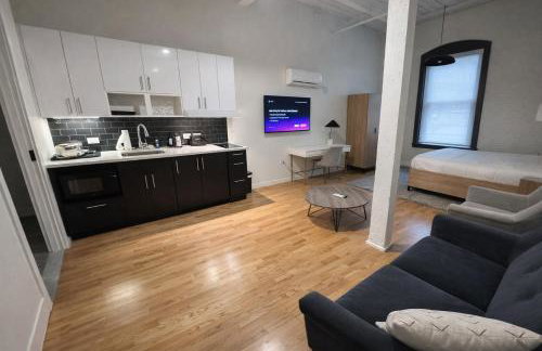 Pratt St Brand New Studio Loft Elevator Building - Foto 30